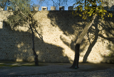 Similar image 7968483