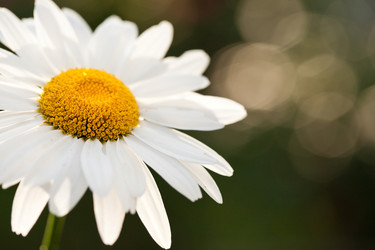 Similar image 7968492