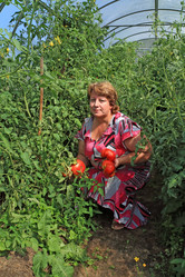 Similar image 7968581