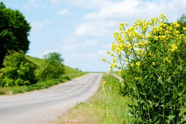 Similar image 7968618