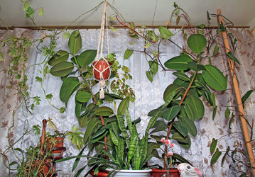 Similar image 7968668