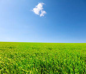 Similar image 7968701