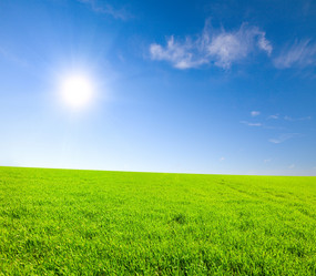 Similar image 7968756