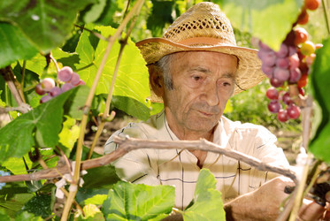 Similar image 7968783