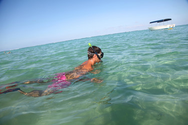 Similar image 7968813