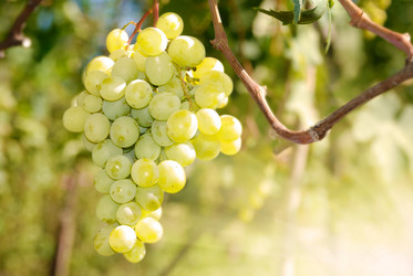 Similar image 7968848