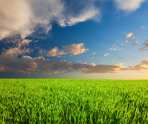 Similar image 7968860