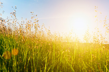 Similar image 7968881