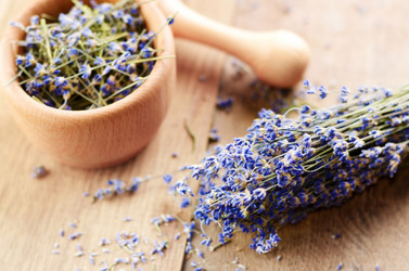 Similar image 7968903