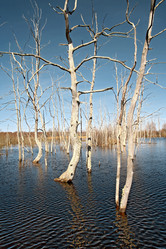 Similar image 7968971