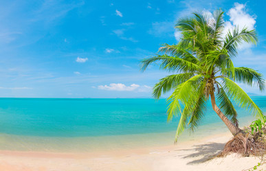 Similar image 7968983