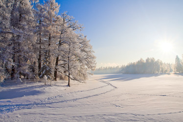 Similar image 7969000