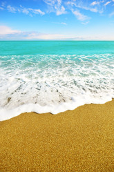 Similar image 7969016