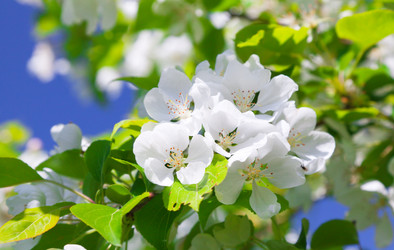 Similar image 7969069