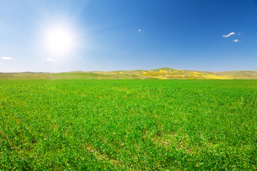 Similar image 7969095