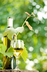 Similar image 7969145