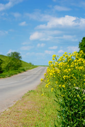 Similar image 7969159