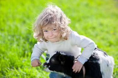 Similar image 7969185