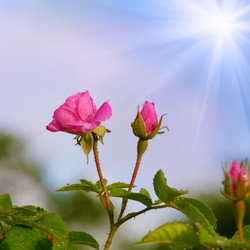 Similar image 7969192