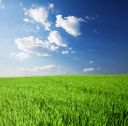 Similar image 7969223