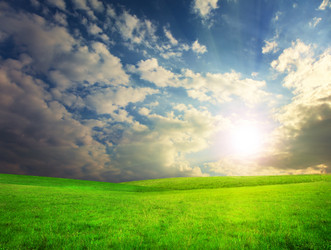 Similar image 7969230