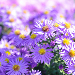 Similar image 7969290