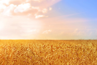 Similar image 7969337