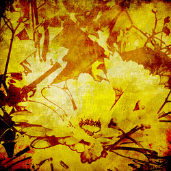 Similar image 7969338