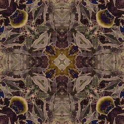 Similar image 7969345