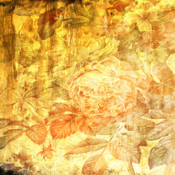 Similar image 7969351