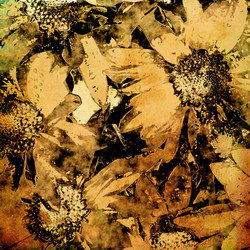 Similar image 7969376