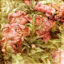 Similar image 7969390