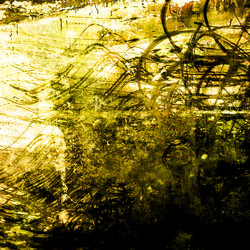 Similar image 7969392