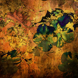 Similar image 7969429