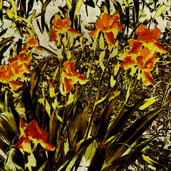 Similar image 7969451