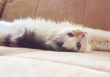 Similar image 7969470