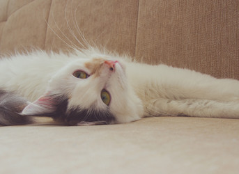 Similar image 7969489