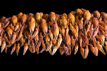 Similar image 7969633