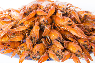 Similar image 7969636