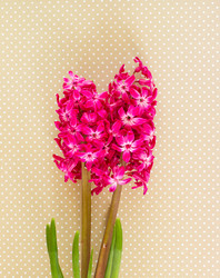 Similar image 7969679