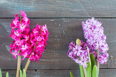 Similar image 7969680