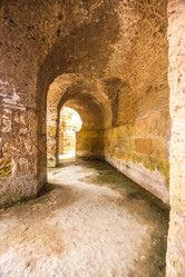 Similar image 7969699