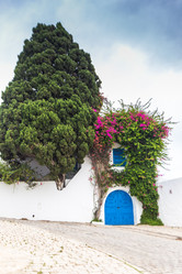 Similar image 7969702