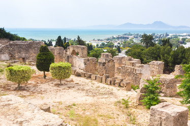 Similar image 7969713