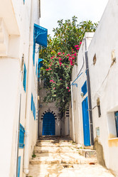 Similar image 7969716