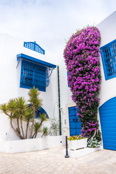 Similar image 7969718