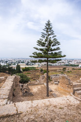 Similar image 7969720