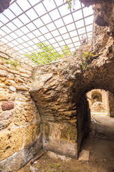 Similar image 7969721