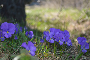 Similar image 7969776