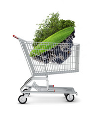 Similar image 7971173